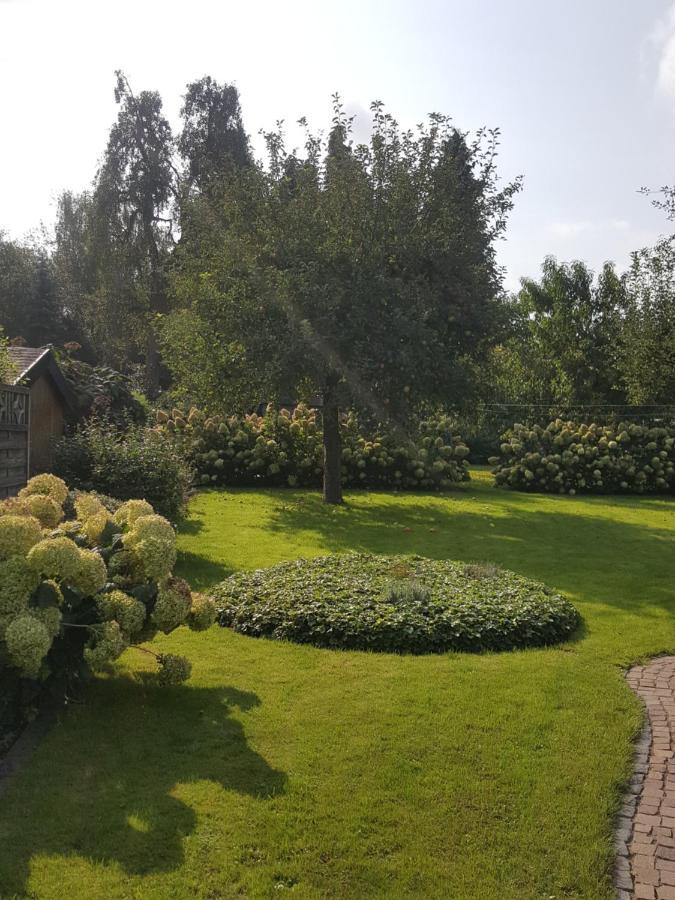 Ferienwohnung Zur Sonne ネッテタール エクステリア 写真
